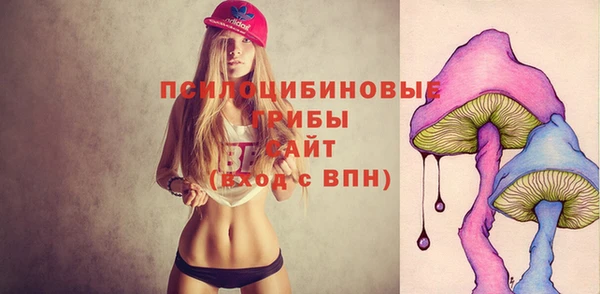 шишки Липки