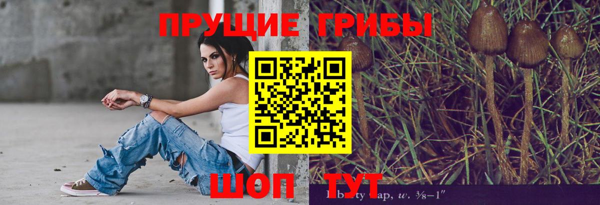 Шали  Галлюциногенные грибы прущие грибы  Вход с VPN  Галлюциногенные грибы GOLDEN TEACHER 